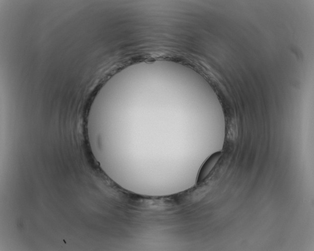 X0000114000524200910021033