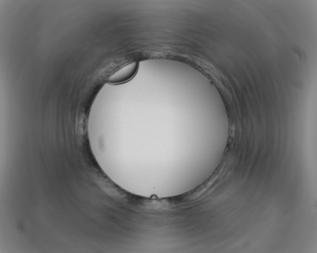 X0000114000525200910021033