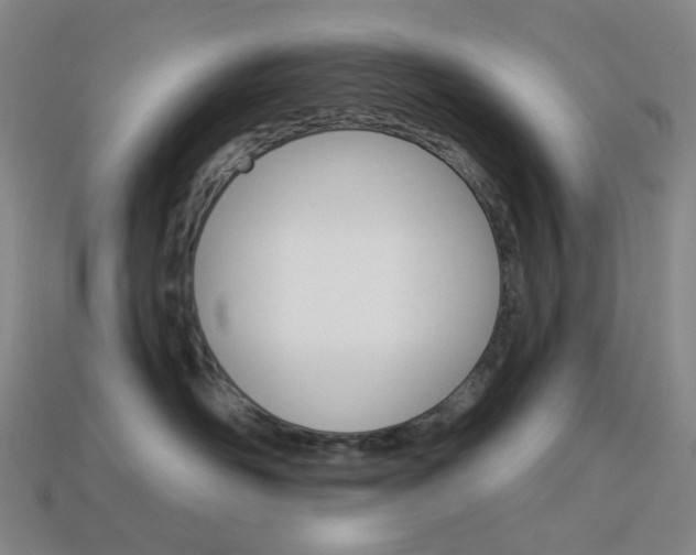 X0000114000526200910021033