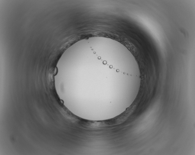 X0000114000527200910021033