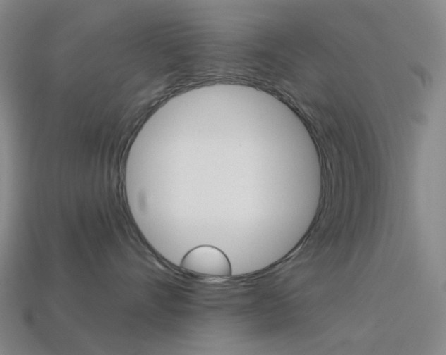 X0000114000528200910021033