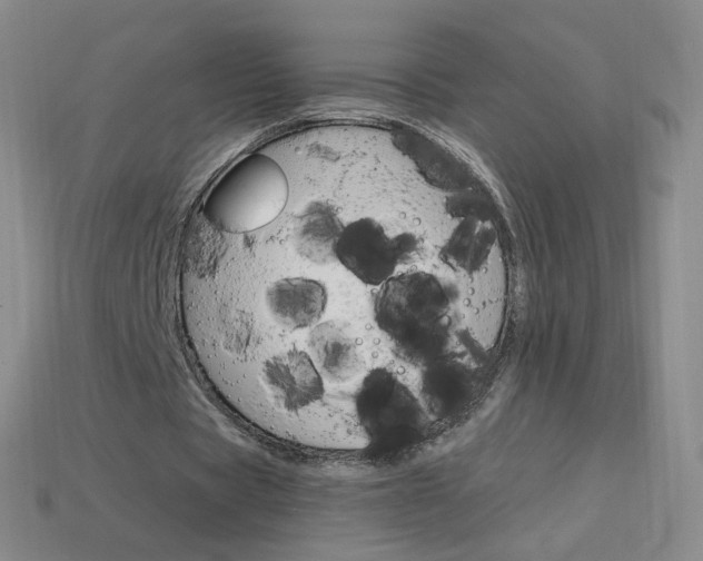 X0000114000529200910021032