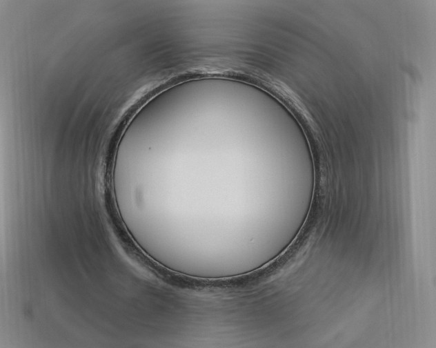 X0000114000530200910021032