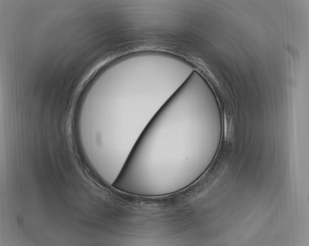 X0000114000531200910021032