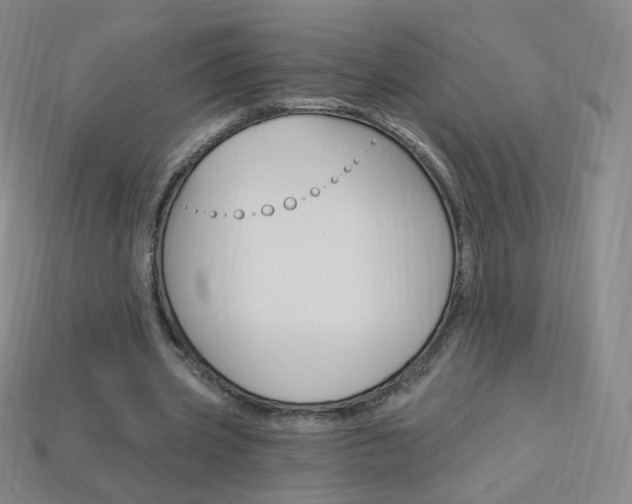 X0000114000533200910021032