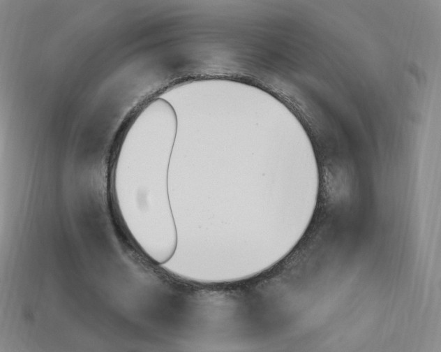X0000114000534200910021032