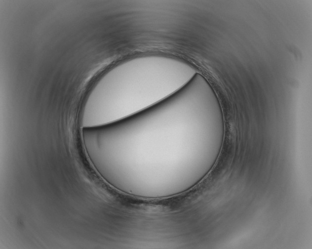 X0000114000539200910021032