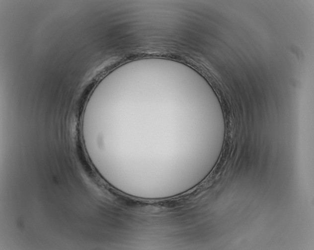 X0000114000542200910021032