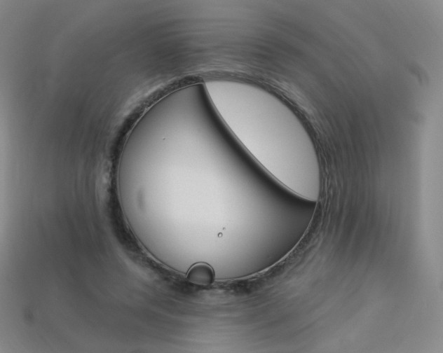 X0000114000544200910021032