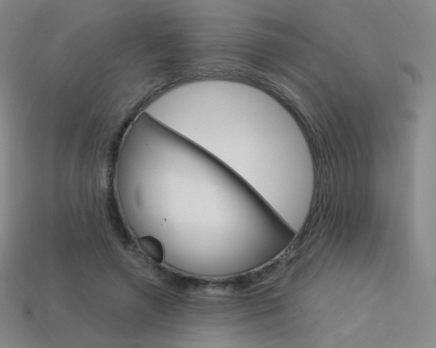 X0000114000546200910021032