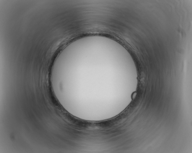 X0000114000547200910021032