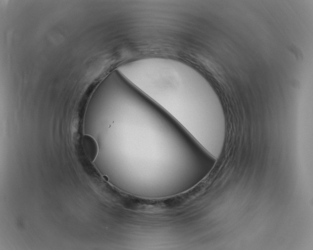 X0000114000548200910021032