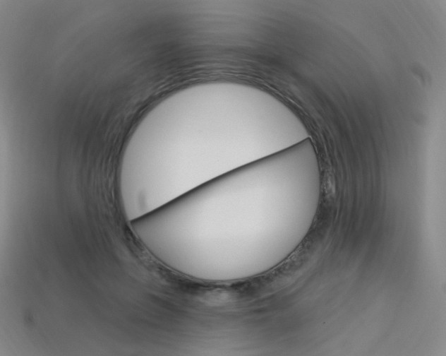 X0000114000551200910021032