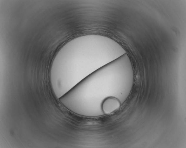 X0000114000555200910021032