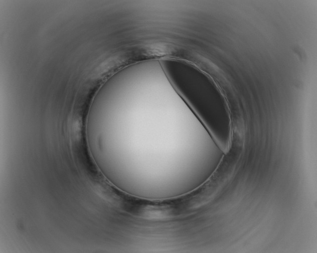 X0000114000556200910021032