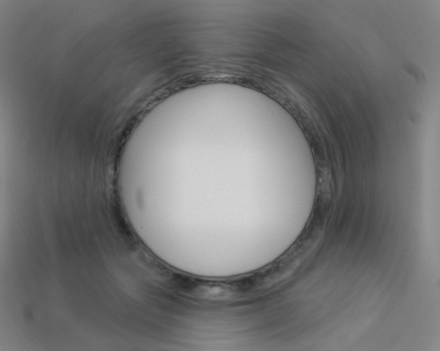 X0000114000557200910021032