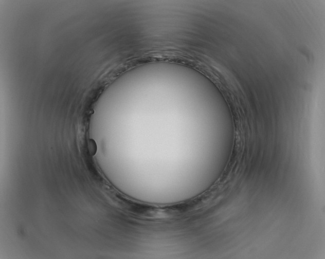 X0000114000558200910021032