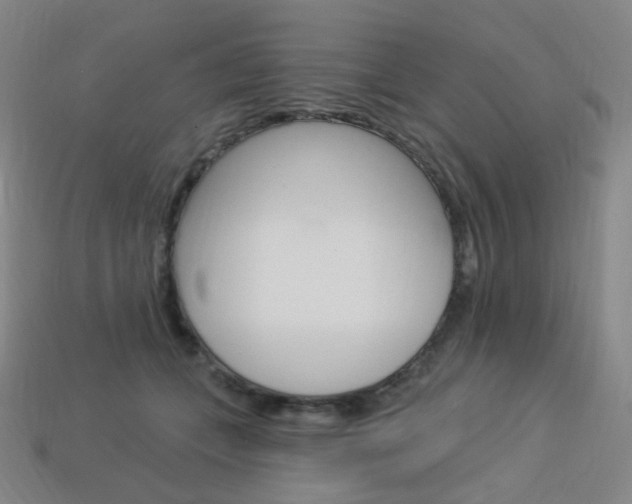 X0000114000559200910021032