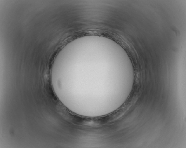 X0000114000561200910021032
