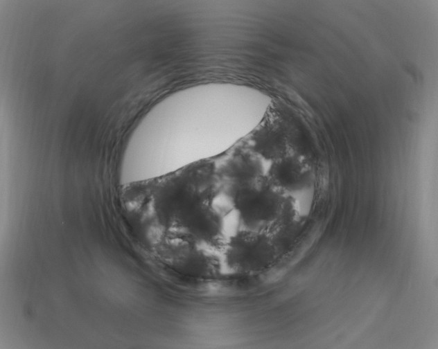 X0000114000565200910021032