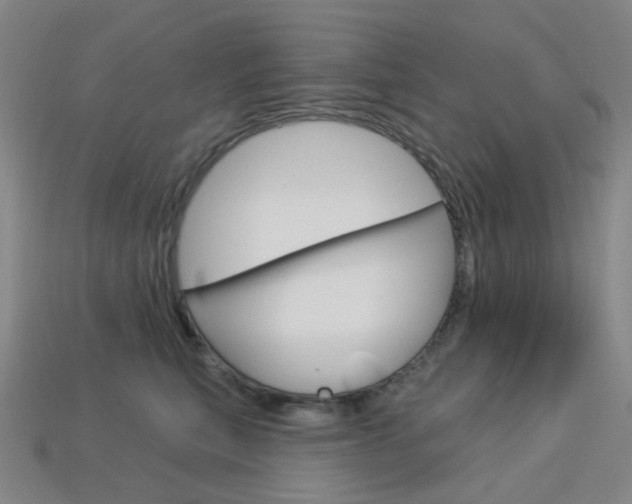 X0000114000567200910021032