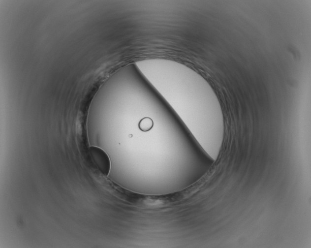 X0000114000570200910021032