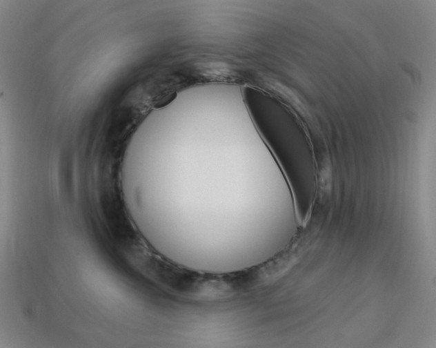 X0000114000572200910021033