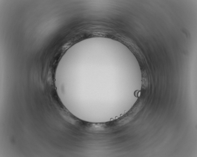X0000114000573200910021033