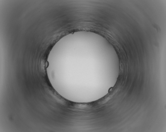 X0000114000575200910021033