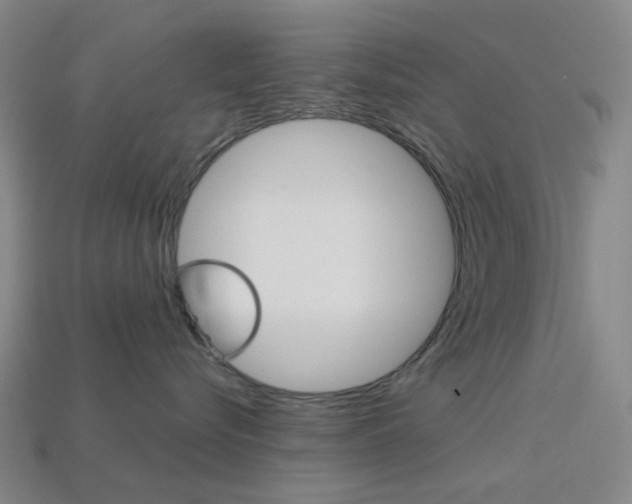 X0000114000576200910021033