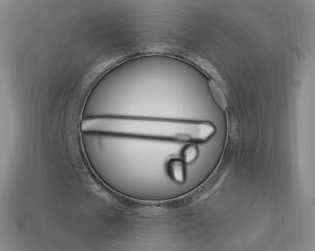 X0000114000577200910021032