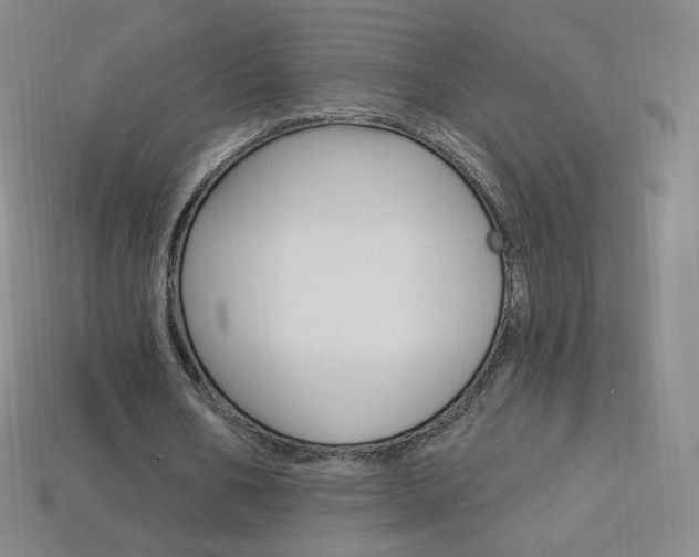 X0000114000578200910021032