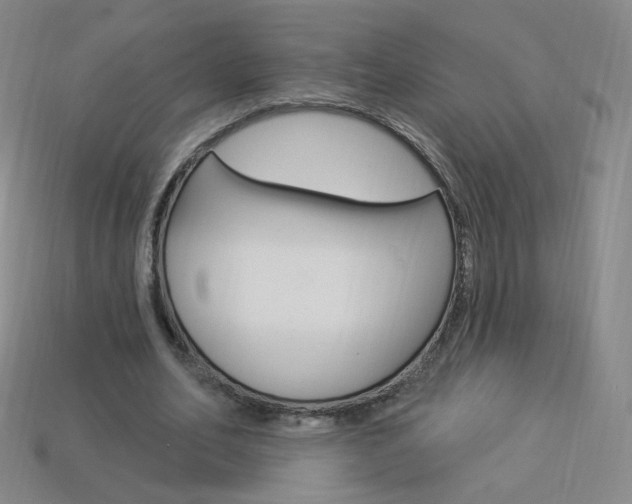 X0000114000582200910021032