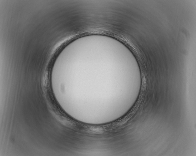 X0000114000583200910021032