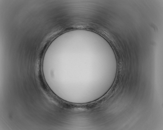 X0000114000586200910021032