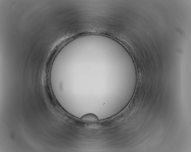 X0000114000587200910021032
