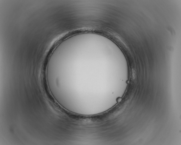 X0000114000588200910021032