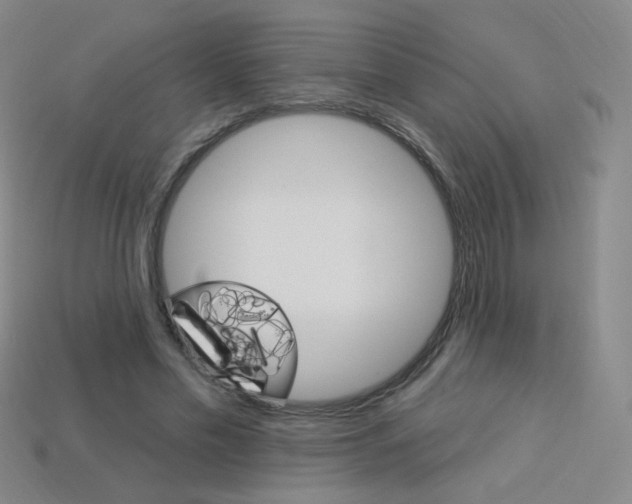 X0000114000589200910021032