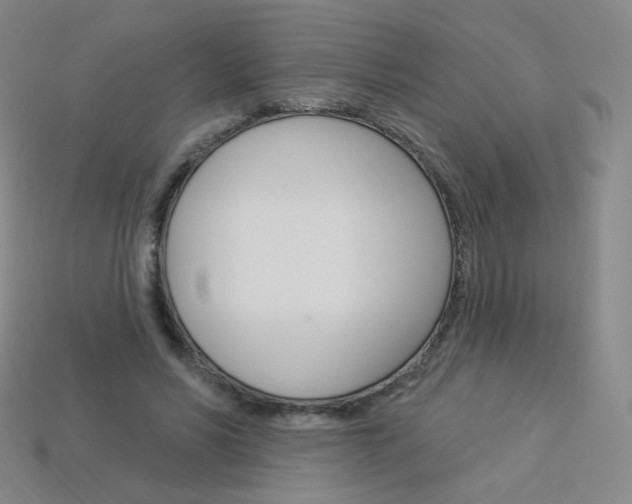 X0000114000590200910021032