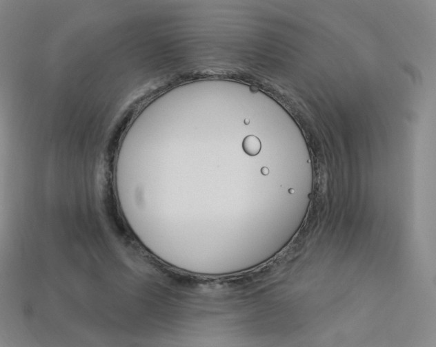 X0000114000591200910021032