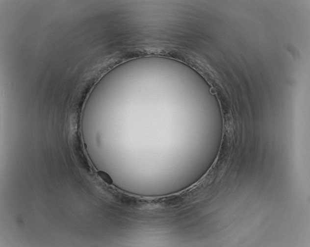 X0000114000593200910021032