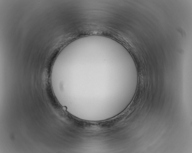 X0000114000594200910021032