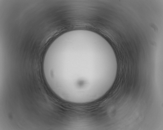 X0000114000595200910021032