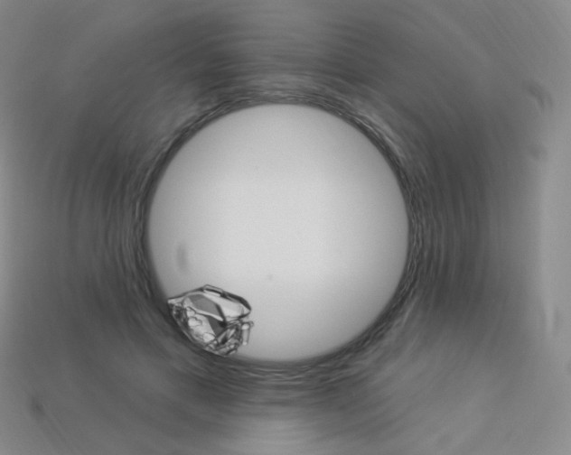 X0000114000597200910021032