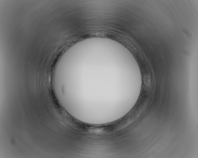 X0000114000602200910021032