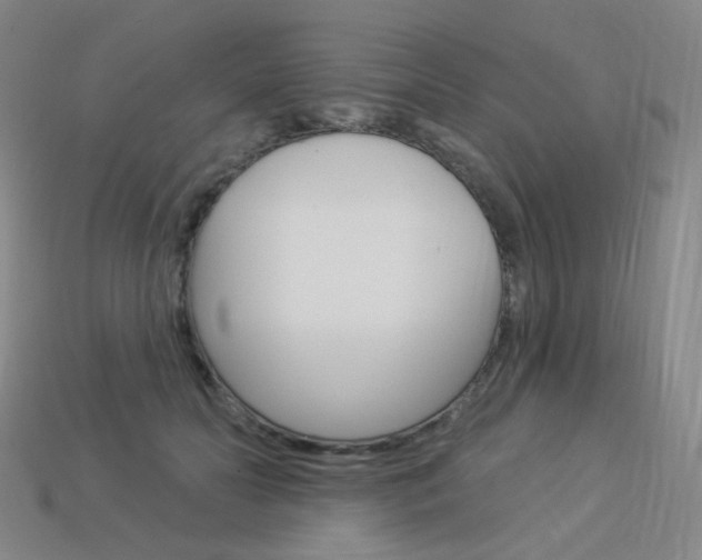 X0000114000606200910021032