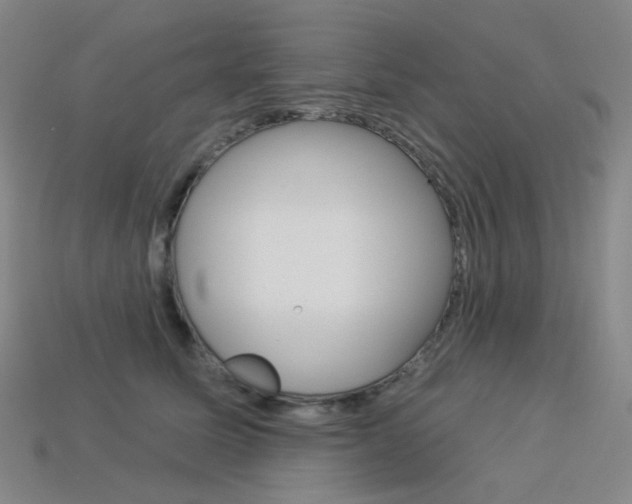X0000114000611200910021032