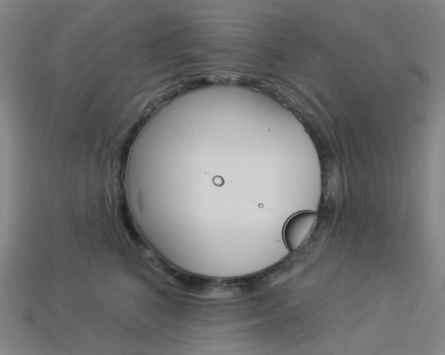 X0000114000616200910021031