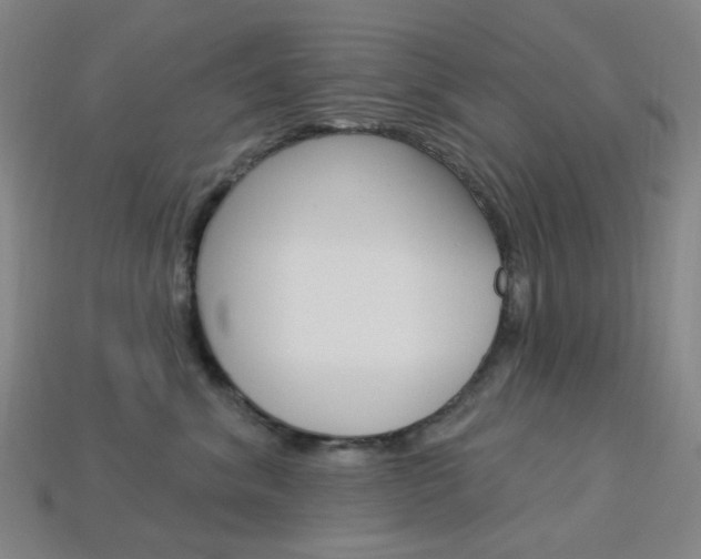 X0000114000620200910021031