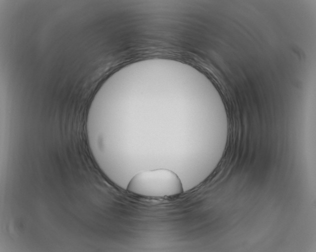 X0000114000621200910021031